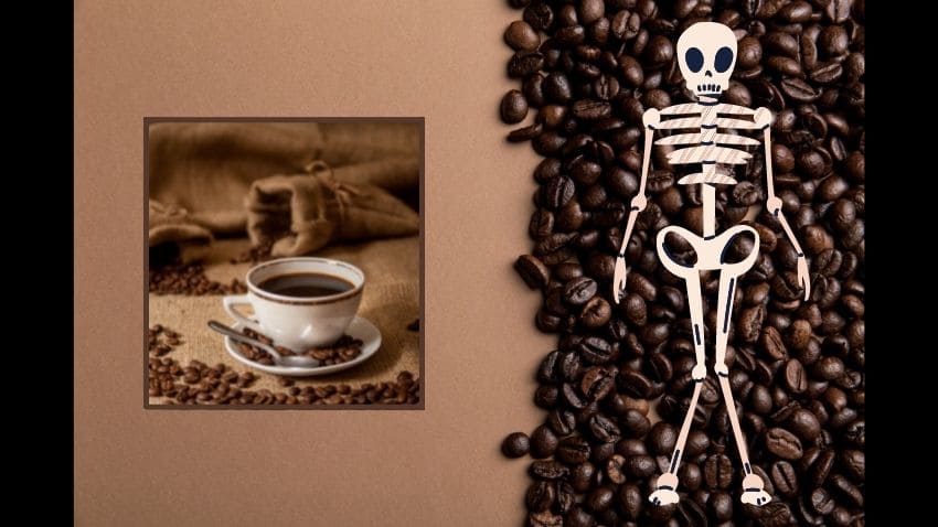 cafeina-huesos